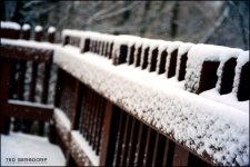 Late Snow Post 4_325.JPG