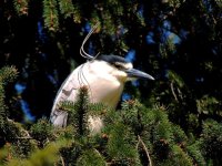 DSCN9717.jpg