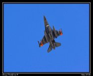 Day106Falcon.jpg