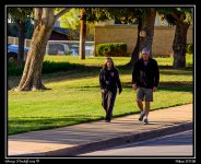 Day106Walkers.jpg
