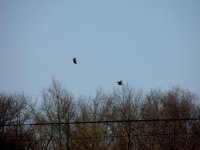 DSCN9582.jpg