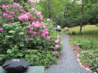 IMG_0365.jpg