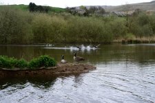 DSC_0025.jpg