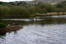 DSC_0026.jpg