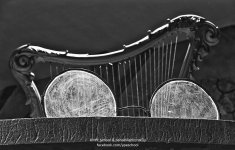 giant-glasses-1.jpg