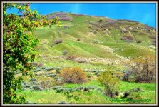 Bountiful Trail.jpg