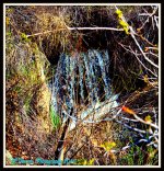 Waterfall.jpg