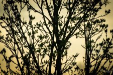 Day106-1.jpg
