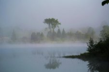 DSC_1107-1.jpg