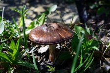 DSC_0014.jpg