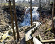 DSC_0197.jpg
