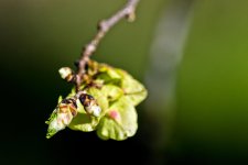 DSC_5745.jpg