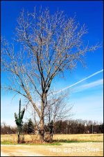 DSC_0319.jpg