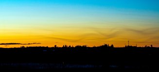 600_7533 (1000x459).jpg