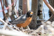 DSC_8633.jpg