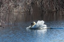 DSC_8649.jpg