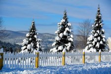 DSC_2915.jpg