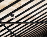 20140418-D62_5407-Edit-Edit-Edit.jpg