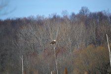 DSC_2791.jpg