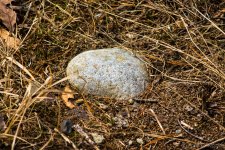 DSC_8659.jpg