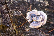 DSC_8669.jpg