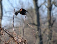 DSC_2764.jpg