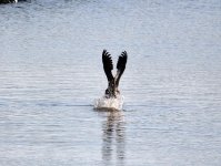 DSC_2780.jpg