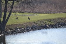 DSC_2785.jpg