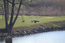 DSC_2786.jpg