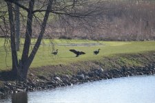 DSC_2787.jpg