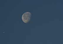 DSC_2738.jpg