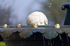 DSC_5846.jpg