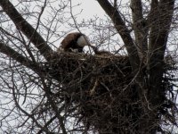DSCN9808.jpg