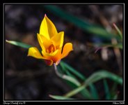 DSC_6159.jpg