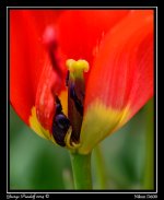 DSC_6450.jpg