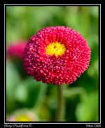DSC_6129.jpg