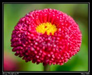 DSC_6128.jpg