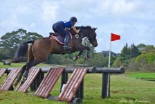 Horse jumps 1 LOL.jpg
