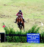 Horse jumps 2 LOL.jpg