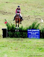 Horse Jumps 4 LOL.jpg