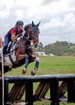 Horse jumps 6 LOL.jpg