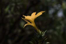 _DSC3892.jpg