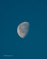 DSC_0833_10217.jpg