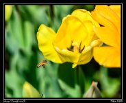 DSC_6347.jpg