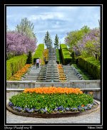 DSC_6397.jpg