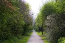 DSC_5925.jpg