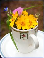 Cup of Sunshine Entry 2.jpg