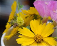 Cup of Sunshine 3.jpg