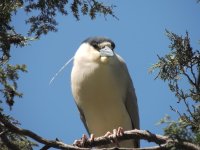 DSCN9831.jpg