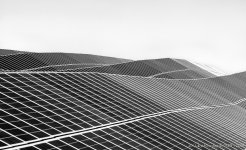 20140416-D80_9447-Edit-Edit.jpg